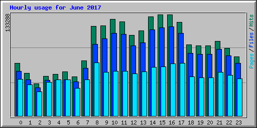 Hourly usage for June 2017