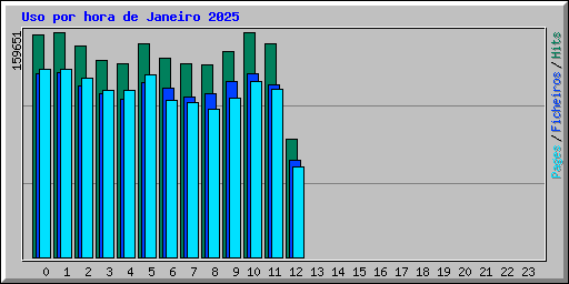 Uso por hora de Janeiro 2025